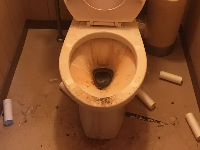 トイレ清掃 代行サービスサービスの画像