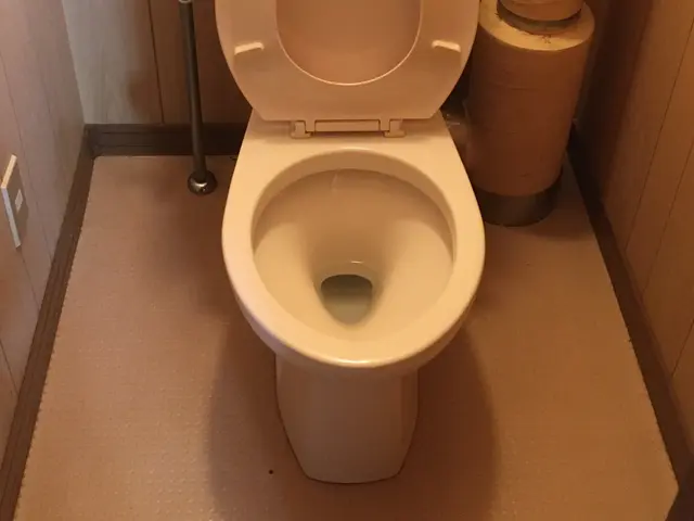 トイレ清掃 代行サービスサービスの画像