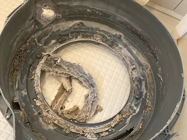 ★クリーニング専門店による分解洗浄★追加料金なし★P代無料★サービスの画像