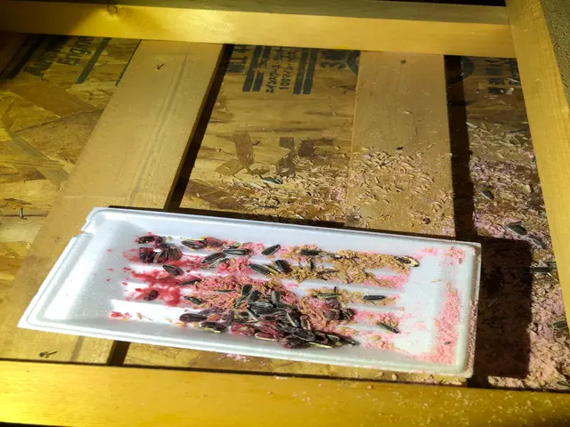 有資格者による質の高い施工をお約束致します！サービスの画像