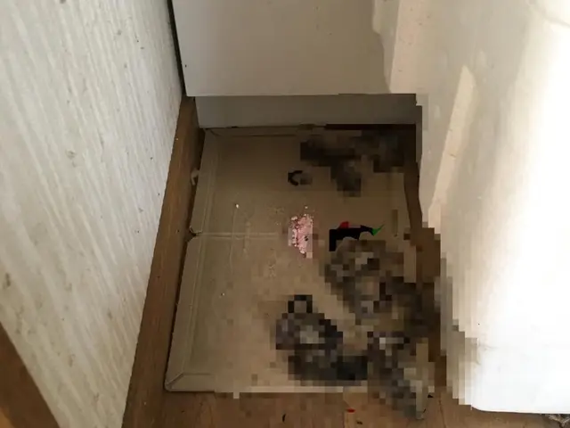 有資格者による質の高い施工をお約束致します！サービスの画像