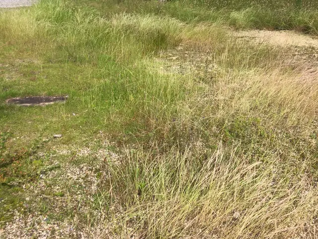 【損害保険加入】大手業務経験あり！駐車代お店負担！親切丁寧な対応！サービスの画像