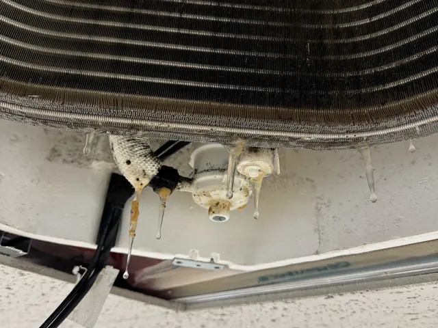 ハイグレードの洗浄機使用!! 他台数対応可【夫婦でお伺い可能】サービスの画像