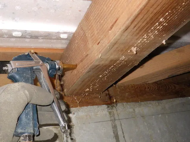 しろあり防除施工【社員全員「しろあり防除施工士」資格所持！】サービスの画像