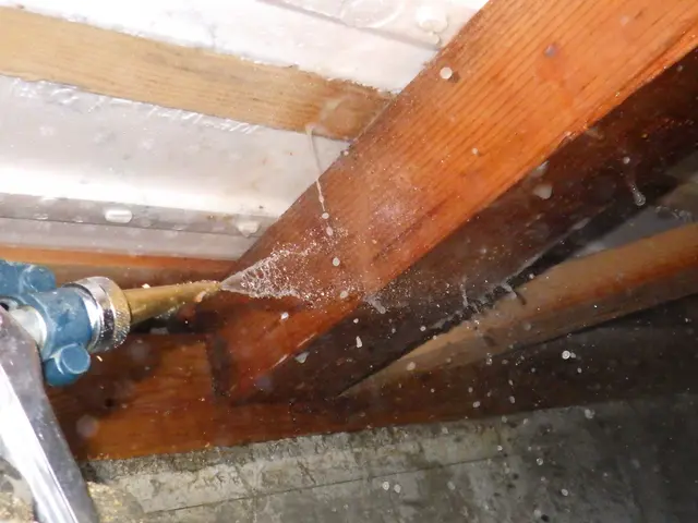 しろあり防除施工【社員全員「しろあり防除施工士」資格所持！】サービスの画像