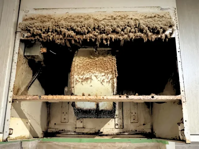 【ハウスクリーニングたまちゃん】★自社丁寧施工★お気軽にお問い合わせ下さい♩.•サービスの画像