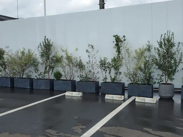 【親切・丁寧】作業外注一切なし！お庭のことはお任せください◎サービスの画像