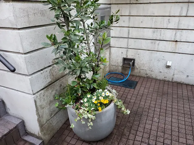 【親切・丁寧】作業外注一切なし！お庭のことはお任せください◎サービスの画像