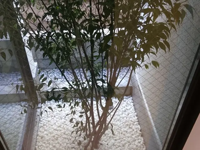 【親切・丁寧】作業外注一切なし！お庭のことはお任せください◎サービスの画像