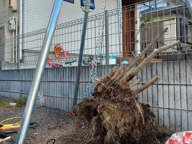 小木～高い木の特殊伐採、抜根①他社でできないと言われた方②写真の多賀が作業しますサービスの画像