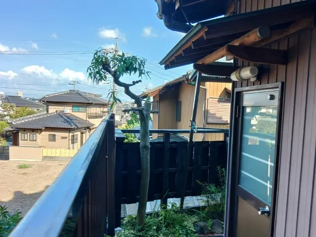 小木～高い木の特殊伐採、抜根①他社でできないと言われた方②写真の多賀が作業しますサービスの画像