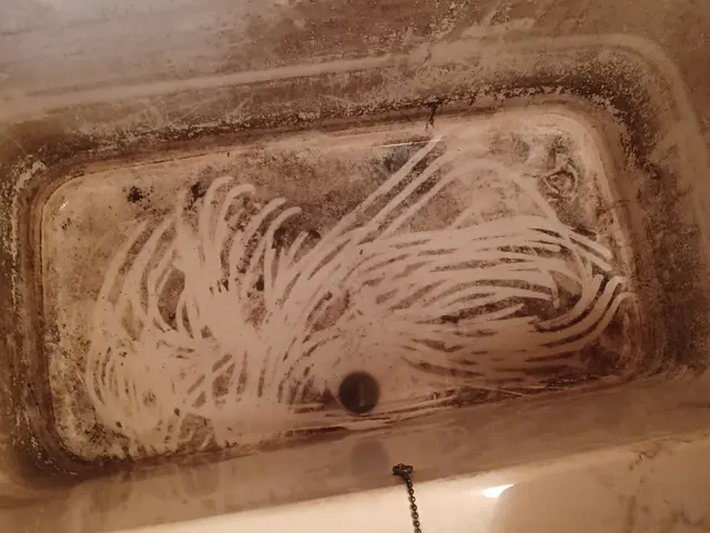 お風呂のクリーニング　浴室のカビの除去！　エプロンの、中のお掃除します。サービスの画像