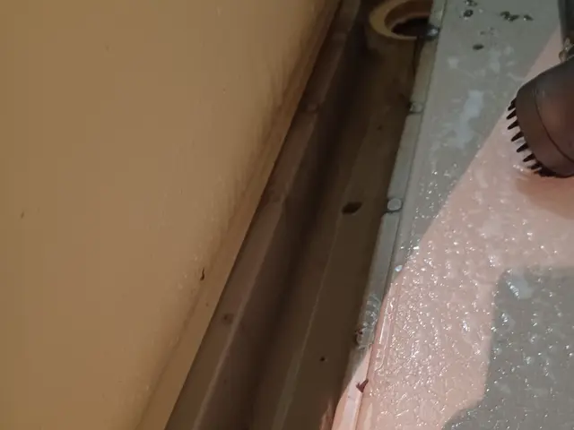 お風呂のクリーニング　浴室のカビの除去！　エプロンの、中のお掃除します。サービスの画像