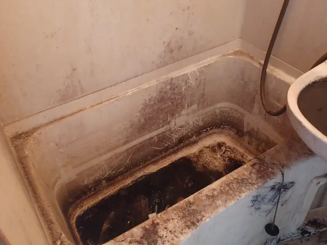 お風呂のクリーニング　浴室のカビの除去！　エプロンの、中のお掃除します。サービスの画像