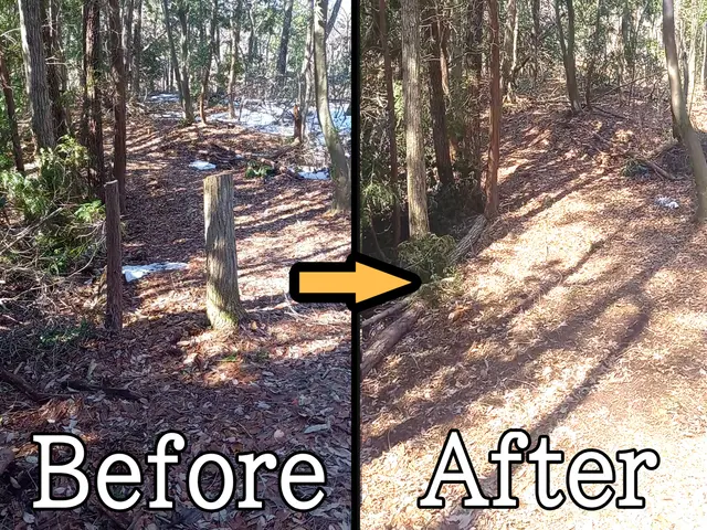 庭木の伐採・抜根作業はお任せ下さい！サービスの画像