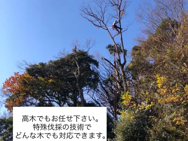 【林業経験豊富】低木から大木まで◯重機が入れない場所の木や倒木処理もお任せ下さいサービスの画像