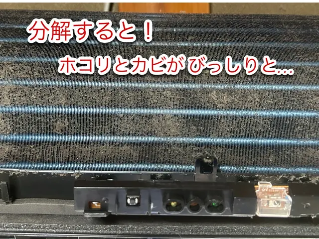 【安心、清潔、丁寧】なクリーニングサービスをご提供いたします！サービスの画像