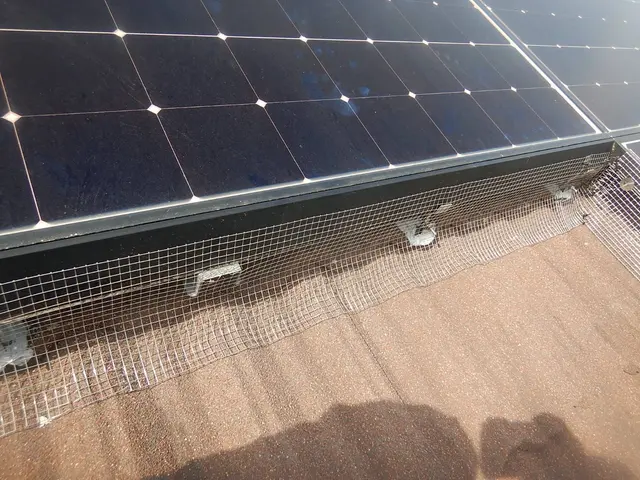 戸建・マンションハト被害調査見積もり無料です。太陽光パネル対策も承っております。サービスの画像