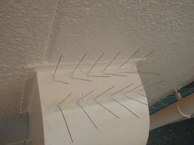 戸建・マンションハト被害調査見積もり無料です。太陽光パネル対策も承っております。サービスの画像