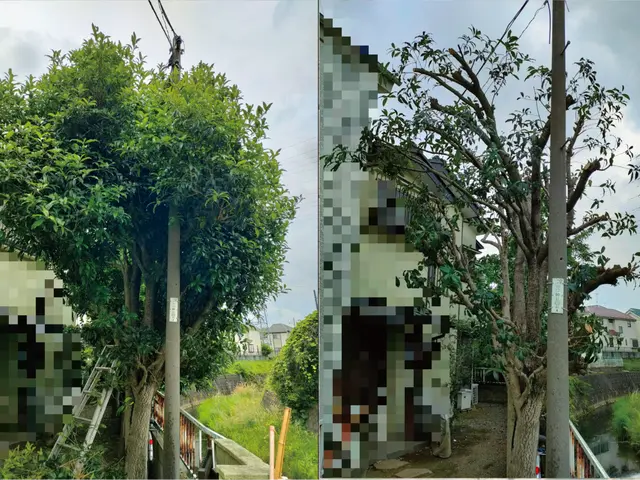 ＜埼玉県全域＞年中無休！9割以上が女性とご年配のお客様です！企業様にも信用と実績サービスの画像