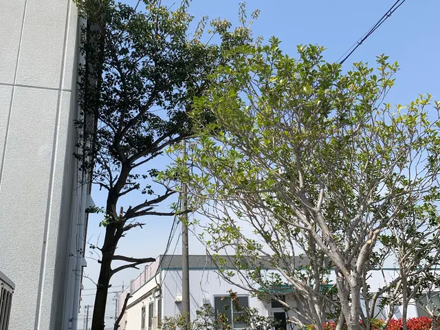 営業時間外・地域外も柔軟に相談可能で安心サービスの画像