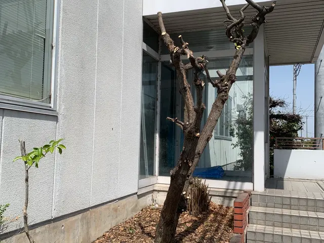 営業時間外・地域外も柔軟に相談可能で安心サービスの画像