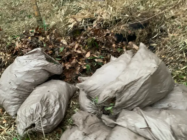 落ち葉、枯れ葉スッキリクリーン！サービスの画像