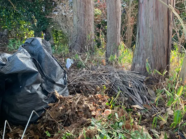 落ち葉、枯れ葉スッキリクリーン！サービスの画像