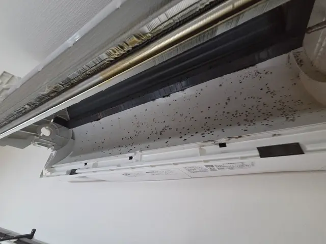 期間限定！完全分解クリーニングオプション無料サービスサービスの画像