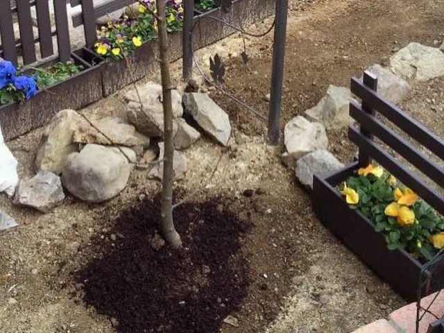 ◇庭木の剪定専門業者◇拘りの完全自社施工◇素敵なお庭作りサポートサービスの画像