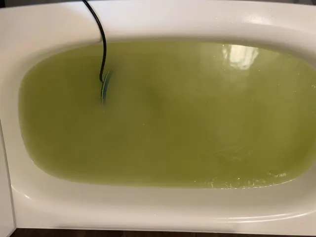 おそうじ革命 大阪鶴見緑地店【オリコン満足度調査5年連続1位を獲得！ 】保険完備サービスの画像