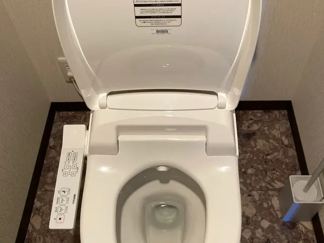 家具家電の組立＆引越＆回収！ウォシュレット取付、取外し各7000円処分1000円サービスの画像