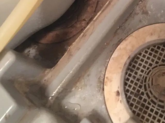 エプロン内もピカピカ！安心の固定料金制です！サービスの画像