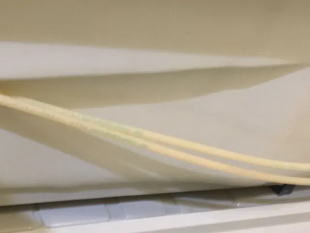 エプロン内もピカピカ！安心の固定料金制です！サービスの画像