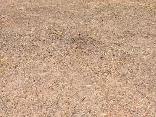 【職人歴10年の実績】年中無休◎アフターフォローもお任せくださいサービスの画像