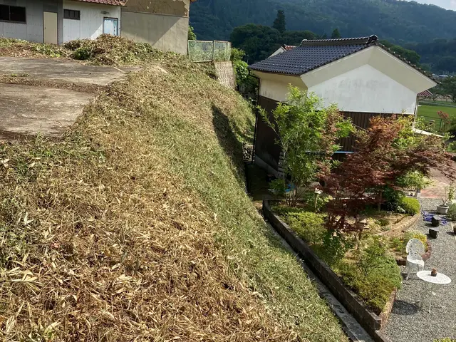 草刈り(刈払い機)サービスの画像