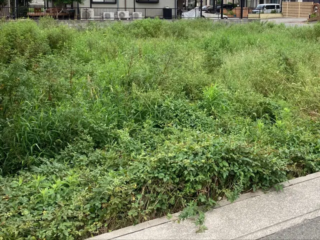 草刈り(刈払い機)サービスの画像