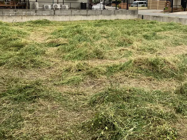 草刈り(刈払い機)サービスの画像