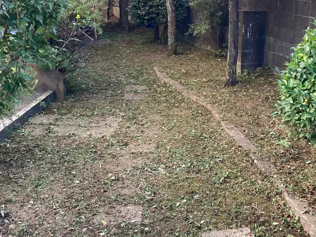 草刈り(刈払い機)サービスの画像