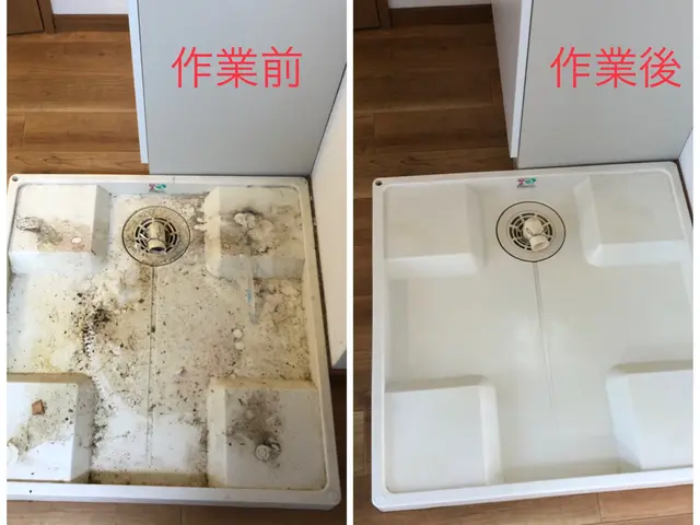 入居前・退去後清掃　掃除屋15年以上　まずはお気軽にご相談ください！！サービスの画像