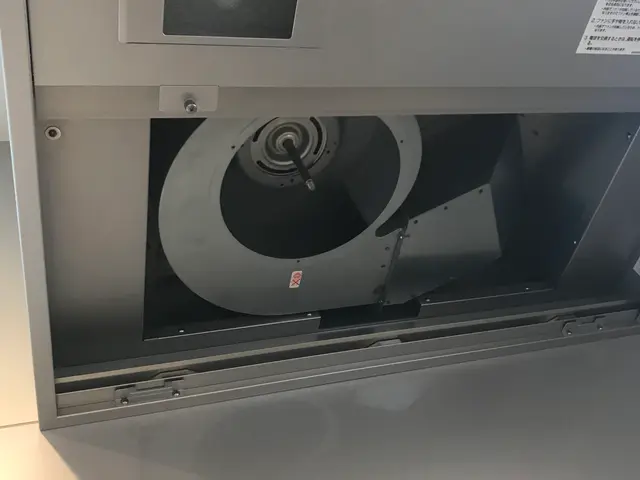 ファンを取り外してつけ置き洗いサービスの画像