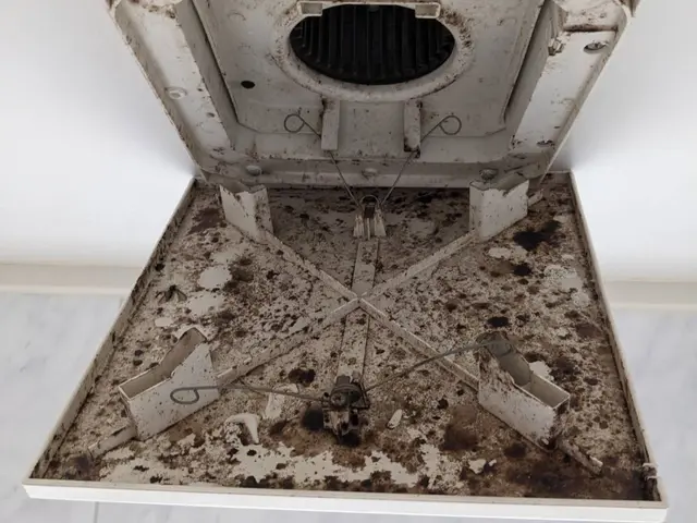 生活応援価格‼　創業13年・業界最安値に挑戦中!!・オゾン発生器で除菌・消臭サービスの画像