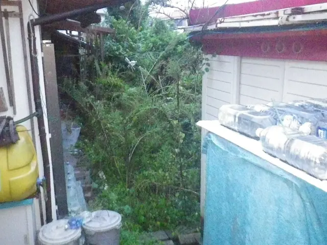 庭木のお悩み解決させます。お客様のご要望に可能な限り対応致します。サービスの画像