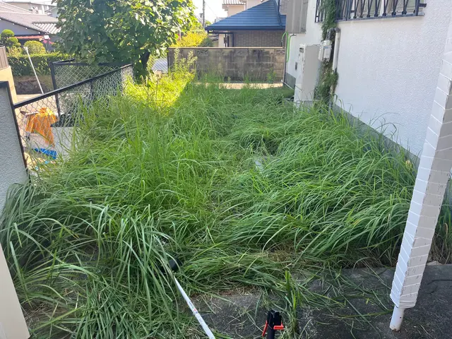 お庭を草むしりで綺麗に！豊富な経験と知識で安心！サービスの画像