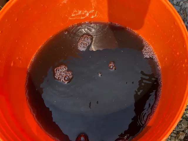 【複数台割でお得】【完全自社対応】サービスの画像