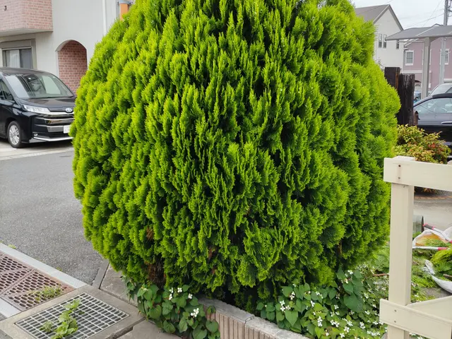 女性スタッフの同行OK◎作業外注一切なし◎当社スタッフがすべてご対応！サービスの画像