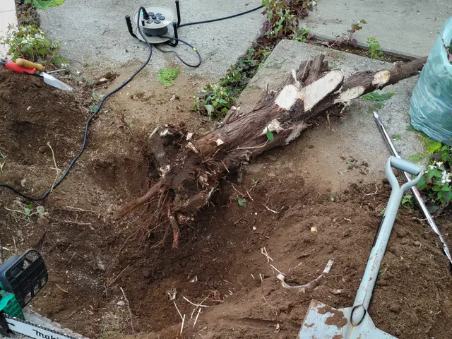 女性スタッフの同行OK◎作業外注一切なし◎当社スタッフがすべてご対応！サービスの画像