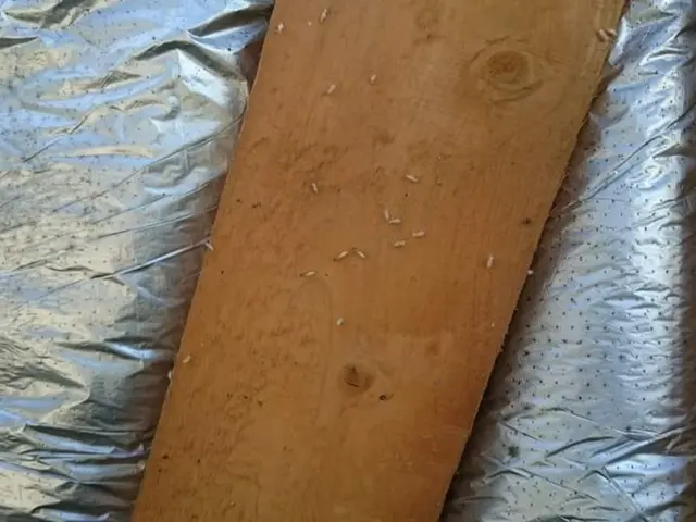 【業歴20年】お客様の気持ちに寄り添う心地よいサービスを心がけております！サービスの画像