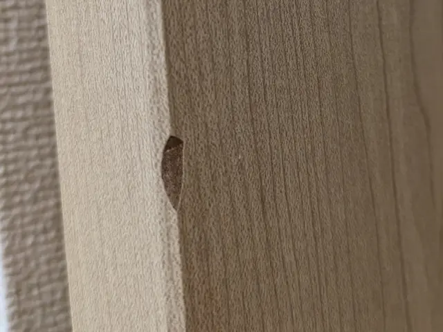 美しい仕上がりと、お客様満足度100%を目指す丁寧な接客でご自宅を美しくサービスの画像