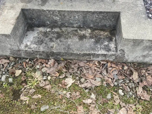 【女性スタッフ同行可】まごころこめてお墓参り致します。サービスの画像